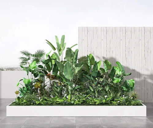 现代植物堆