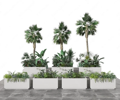 盆栽盆景植物组合