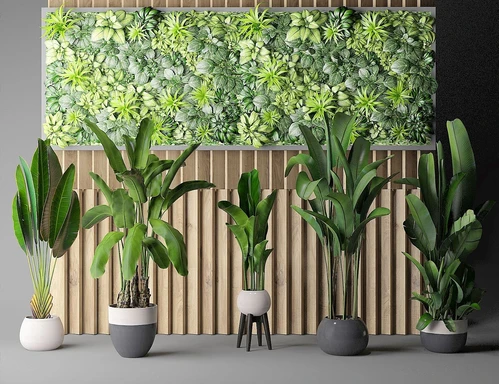 植物组合