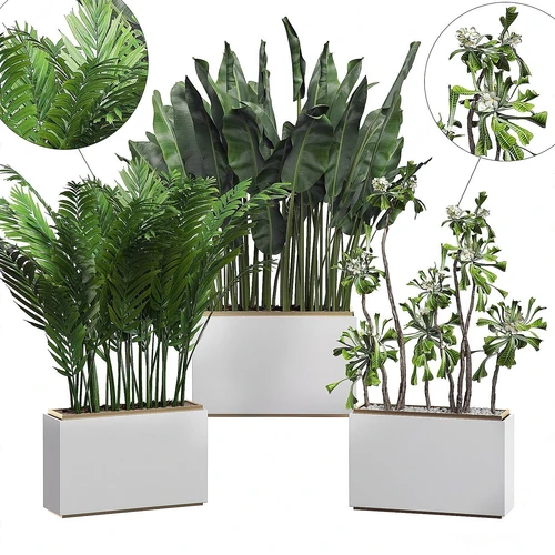 现代绿植盆栽组合