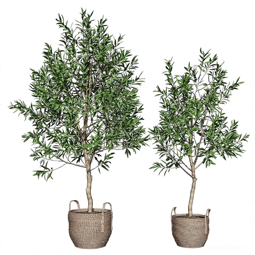 绿植装饰摆件