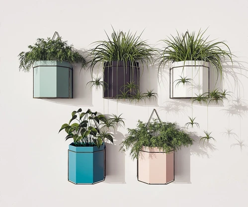 现代挂墙植物