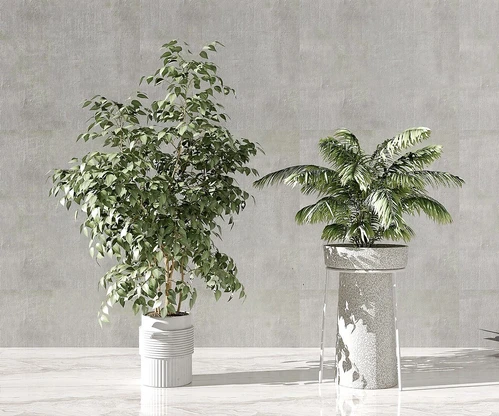 现代植物盆栽摆件
