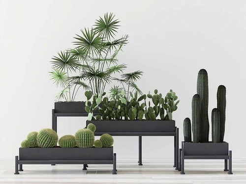 现代绿植盆栽