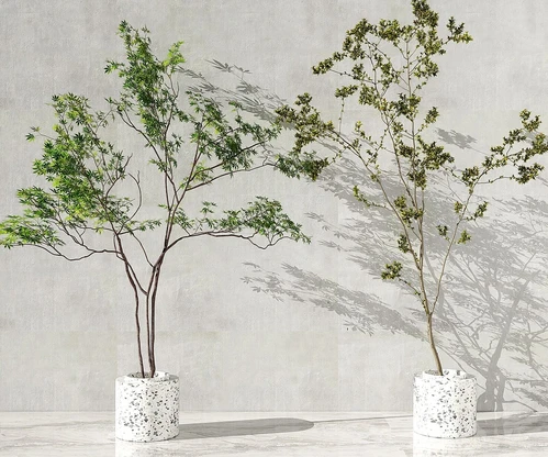 现代植物盆栽摆件