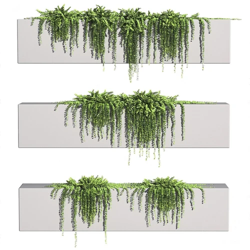 现代垂挂植物组合