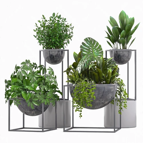 现代盆栽植物组合