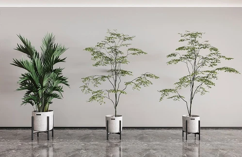 现代盆栽盆景植物组合
