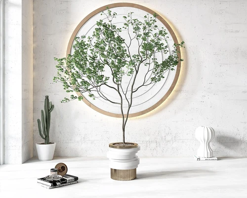现代盆栽盆景植物组合