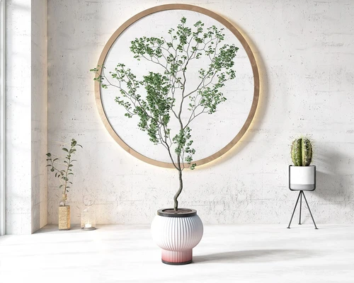 盆栽盆景植物组合