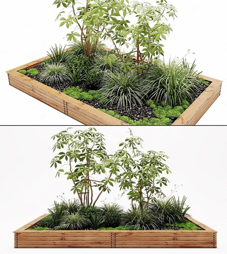 现代植物盆栽景观