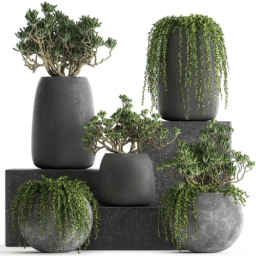 现代绿植物盆栽组合