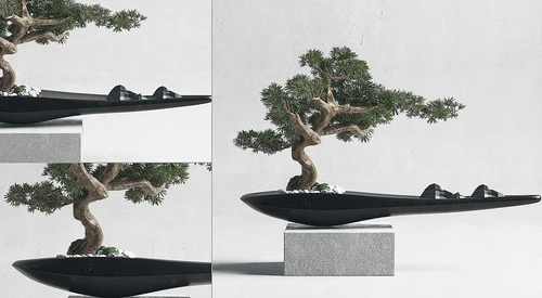 新中式玄关盆景