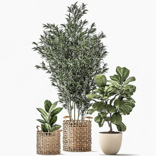 现代植物绿植