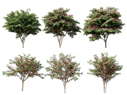 现代室外植物组合