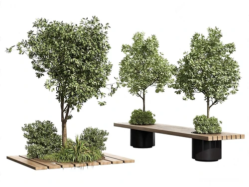 室外植物组合