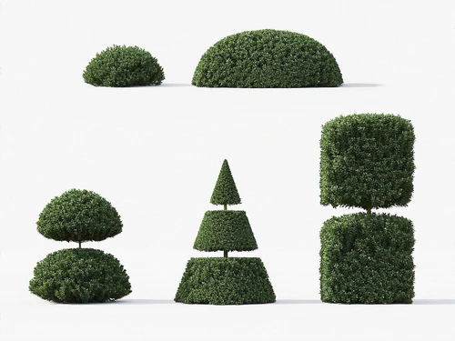 植物摆件