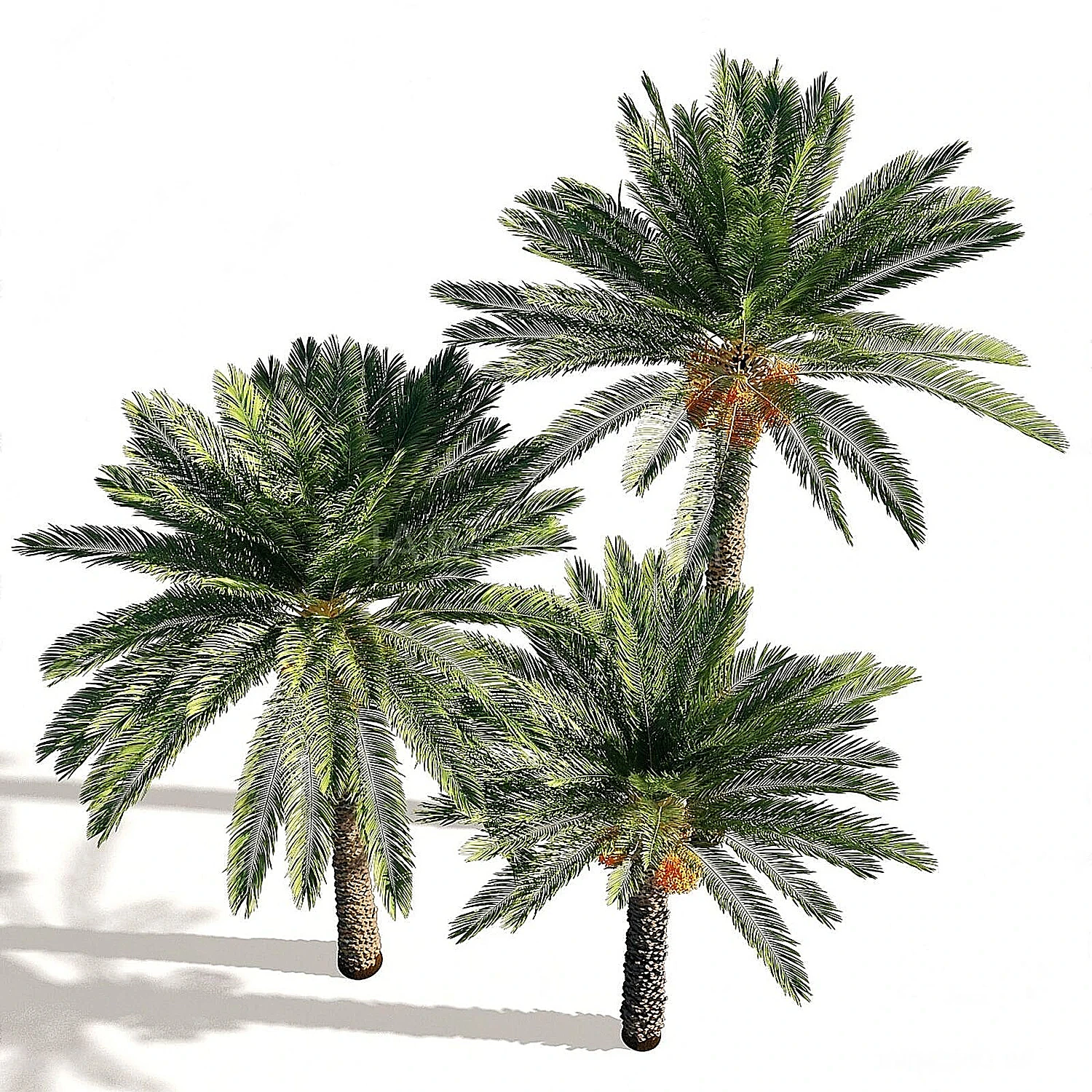 img2