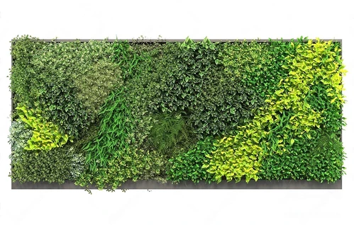 现代绿植墙