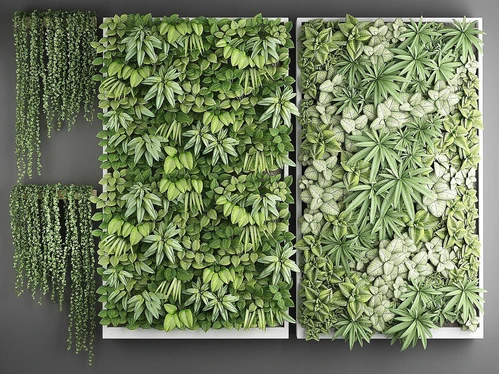 现代植物墙