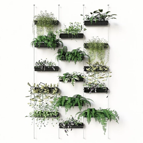 现代植物墙