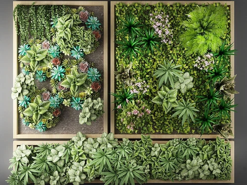 现代植物墙