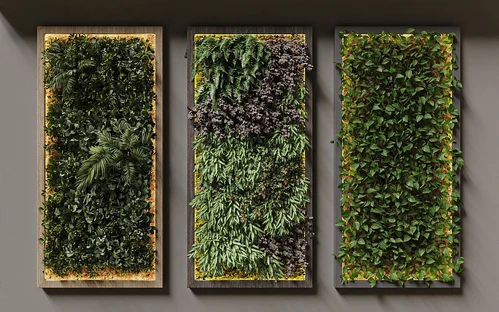 现代植物墙饰组合