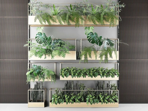 植物摆