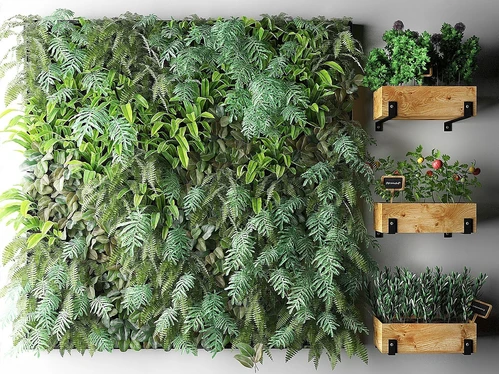 现代植物墙