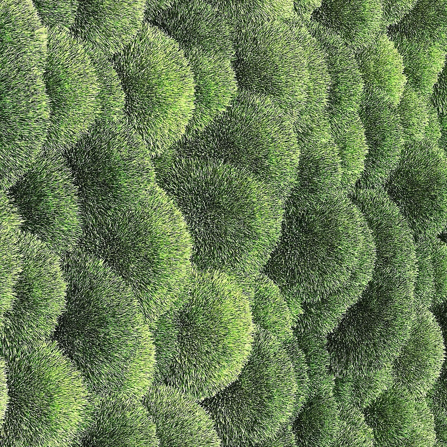 img2
