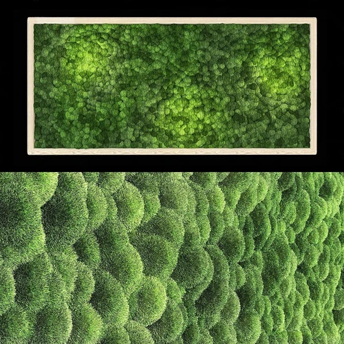 现代植物墙