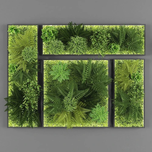现代植物墙