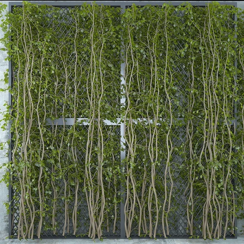 现代植物墙