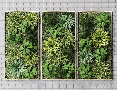 现代植物墙