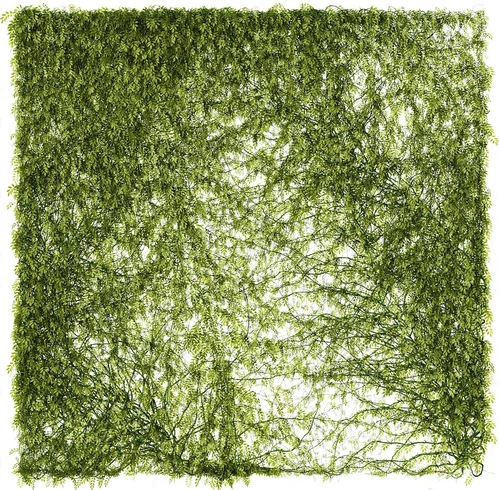 植物墙