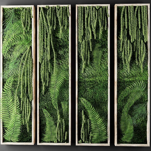 现代植物墙