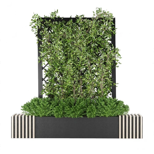 现代绿植墙
