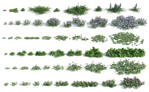 现代绿植灌木花草
