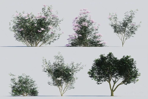 现代绿植花卉灌木