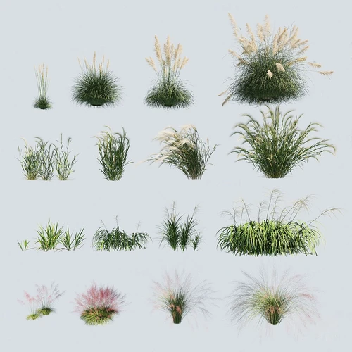 现代户外花草