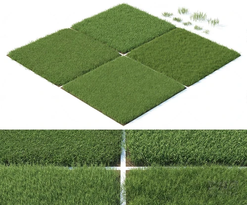 现代草坪草地