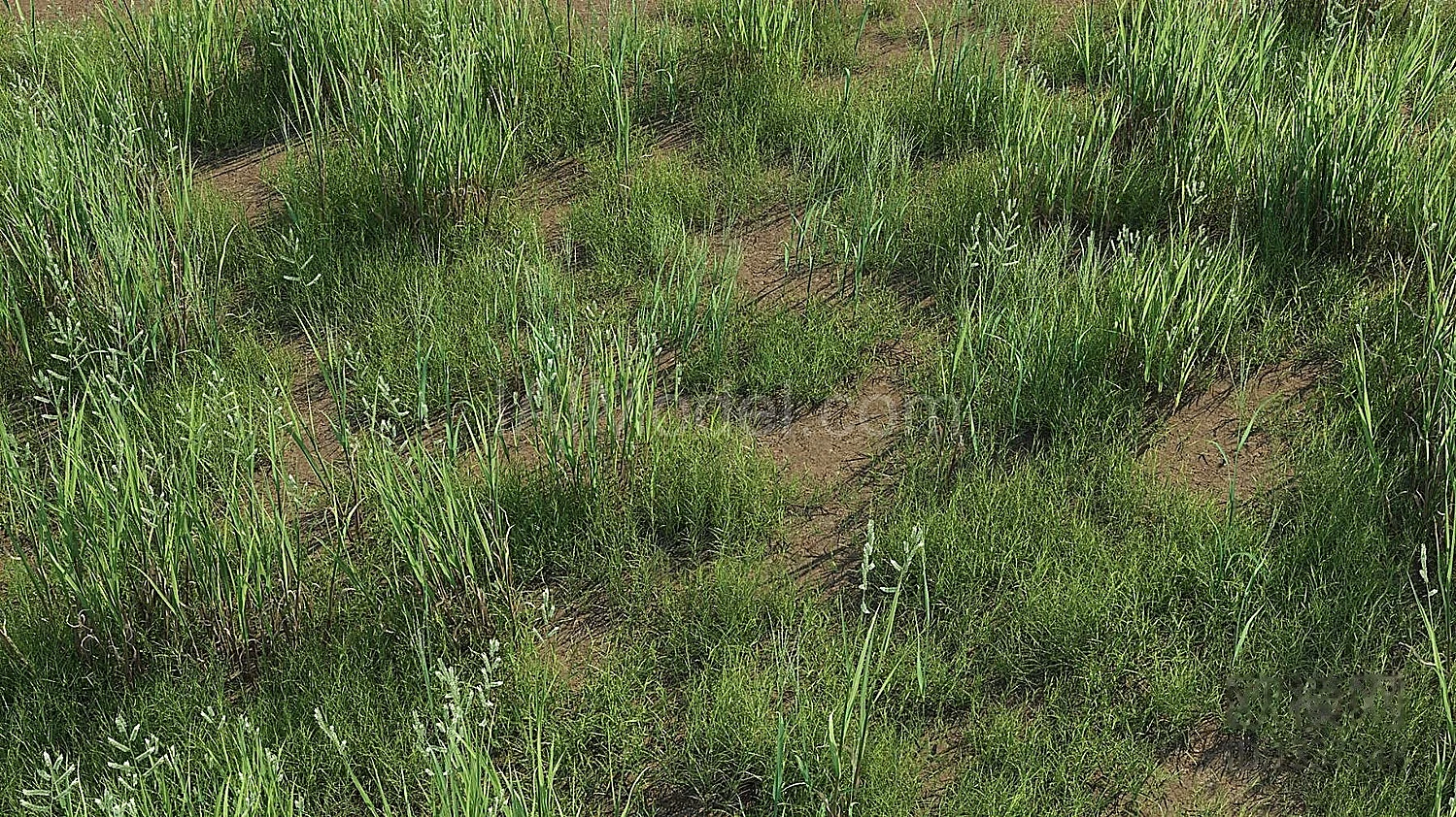 img2