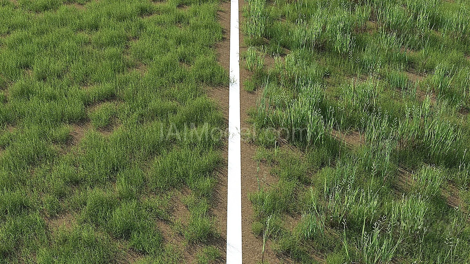 img3