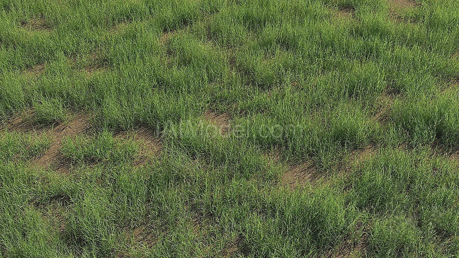 img4