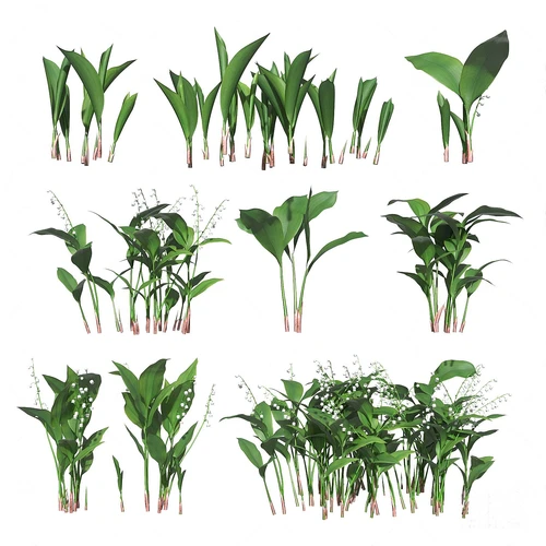 现代绿植花草