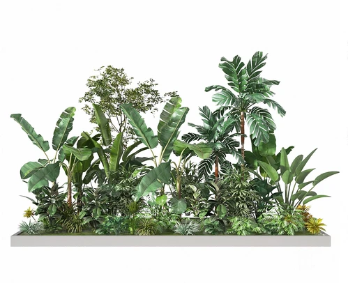 现代热带绿植花草