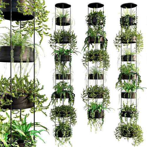 现代吊挂绿植盆栽吊兰