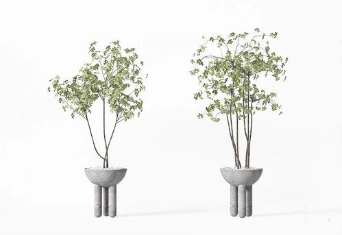 现代绿植盆栽