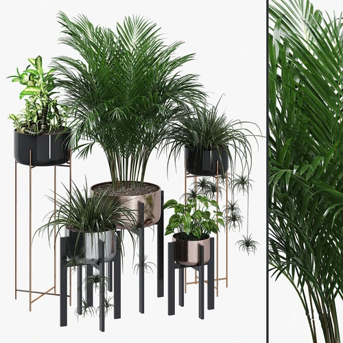现代绿植盆栽花架