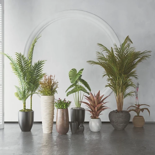 现代绿植盆栽